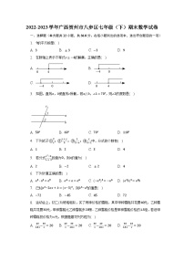 2022-2023学年广西贺州市八步区七年级（下）期末数学试卷（含解析）