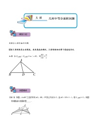 模型43 几何中等分面积问题（讲+练）-备战2023年中考数学解题大招复习讲义（全国通用）