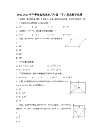 2022-2023学年青海省海东市八年级（下）期末数学试卷（含解析）