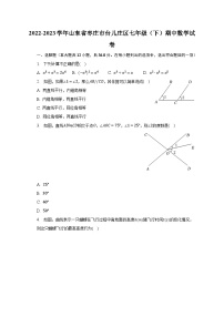 2022-2023学年山东省枣庄市台儿庄区七年级（下）期中数学试卷（含解析）