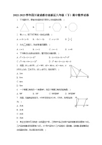 2022-2023学年四川省成都市高新区八年级（下）期中数学试卷（含解析）