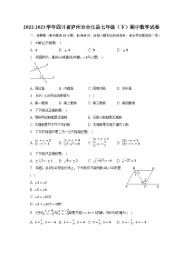 2022-2023学年四川省泸州市合江县七年级（下）期中数学试卷（含解析）