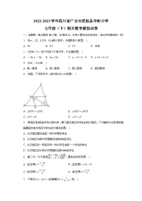 四川省广安市武胜县华封中学2022-2023学年七年级下学期期末数学模拟试卷（含答案）