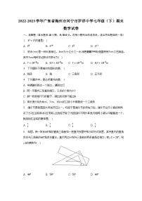 2022-2023学年广东省梅州市兴宁市罗浮中学七年级（下）期末数学试卷（含解析）