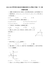 2022-2023学年四川省达州市渠县龙凤中心学校八年级（下）期末数学试卷（含解析）