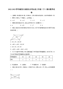 2022-2023学年黑龙江省绥化市明水县八年级（下）期末数学试卷（含解析）