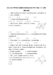 2022-2023学年四川省南充市西充县双风中学八年级（下）期末数学试卷（含解析）