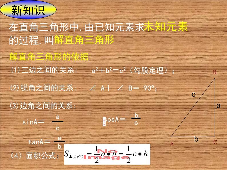 《4 解直角三角形》PPT课件2-九年级下册数学北师大版第5页