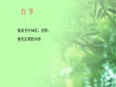 《＊3 垂径定理》PPT课件2-九年级下册数学北师大版