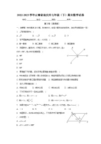 云南省迪庆州2022-2023学年七年级下学期期末数学试卷（含答案）