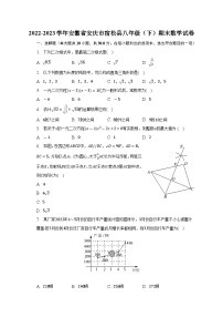 安徽省安庆市宿松县2022-2023学年八年级下学期期末数学试卷（含答案）