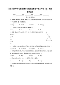 福建省莆田市城厢区哲理中学2022-2023学年八年级下学期期末数学试卷（含答案）