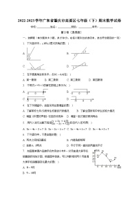 广东省肇庆市高要区2022—2023学年七年级下学期期末数学试题（含答案）