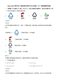 辽宁省沈阳市和平区2022-2023学年七年级下学期期末数学试题（解析版）