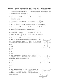 2022-2023学年山东省临沂市河东区八年级（下）期中数学试卷（含解析）