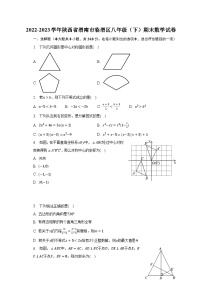 2022-2023学年陕西省渭南市临渭区八年级（下）期末数学试卷（含解析）