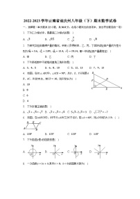 2022-2023学年云南省迪庆州八年级（下）期末数学试卷（含解析）