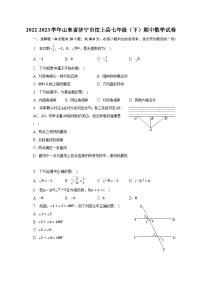 2022-2023学年山东省济宁市汶上县七年级（下）期中数学试卷（含解析）