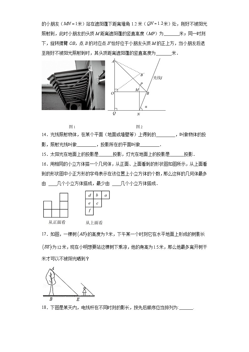 4.1投影同步练习-鲁教版（五四制）初中数学九年级上册第3页