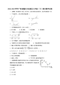 2022-2023学年广东省肇庆市高要区七年级（下）期末数学试卷（含解析）