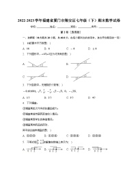 福建省厦门市翔安区2022-2023学年七年级下学期期末数学试卷（含答案）