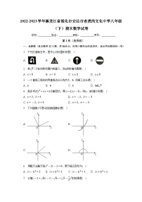 2022-2023学年黑龙江省绥化市安达市老虎岗镇文化中学八年级下学期期末数学试卷（含答案）