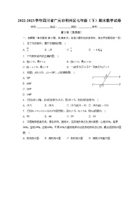 四川省广元市利州区2022-2023学年七年级下学期期末数学试卷（含答案）