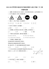 2022-2023学年四川省达州市万源市沙滩中心校八年级（下）期末数学试卷（含解析）