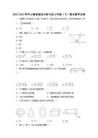 2022-2023学年云南省临沧市耿马县七年级（下）期末数学试卷（含解析）