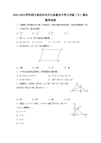 2022-2023学年四川省达州市开江县普安中学八年级（下）期末数学试卷（含解析）