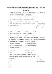 2022-2023学年四川省南充市南部县建兴中学八年级（下）期末数学试卷（含解析）