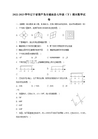 2022-2023学年辽宁省葫芦岛市建昌县七年级（下）期末数学试卷（含解析）