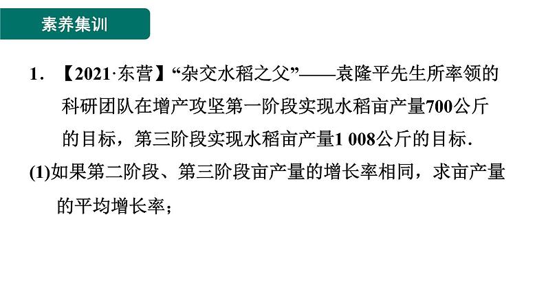 第2章 一元二次方程素养集训 一元二次方程解实际问题的十种常见应用 作业课件第2页