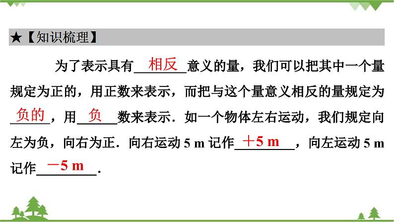 2.1 有理数 北师大版七年级上册课件第3页