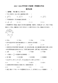 辽宁省朝阳市朝阳县2021-2022学年八年级下学期期末数学试题(解析版)