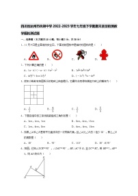 四川省达州市凤翎中学2022-2023学年七年级下学期期末质量检测数学模拟测试题 （含答案）