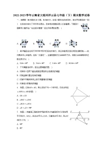 2022-2023学年云南省大理州祥云县七年级（下）期末数学试卷（含解析）