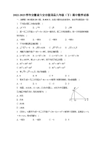 2022-2023学年安徽省六安市霍邱县八年级（下）期中数学试卷（含解析）