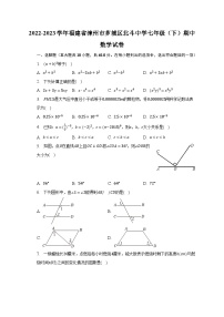 2022-2023学年福建省漳州市芗城区北斗中学七年级（下）期中数学试卷（含解析）