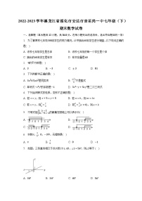 2022-2023学年黑龙江省绥化市安达市吉星岗一中七年级（下）期末数学试卷（含解析）