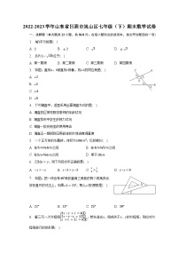 2022-2023学年山东省日照市岚山区七年级（下）期末数学试卷（含解析）