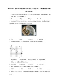 2022-2023学年山东省烟台市牟平区八年级（下）期末数学试卷（五四学制）（含解析）