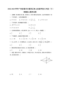 2022-2023学年广东省惠州市惠阳区东王实验学校九年级（下）寒假收心数学试卷（含解析）