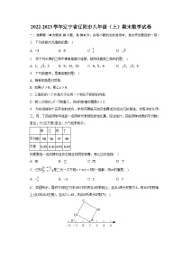 2022-2023学年辽宁省辽阳市八年级（上）期末数学试卷（含解析）