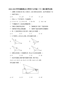 2022-2023学年湖南重点大学附中七年级（下）期末数学试卷（含解析）