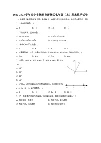 2022-2023学年辽宁省抚顺市新抚区七年级（上）期末数学试卷（含解析）