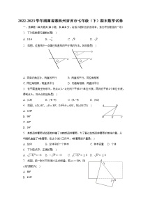 2022-2023学年湖南省湘西州吉首市七年级（下）期末数学试卷（含解析）