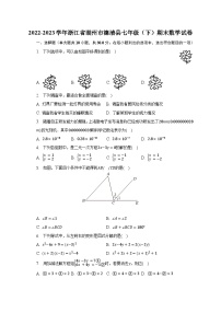 2022-2023学年浙江省湖州市德清县七年级（下）期末数学试卷（含解析）