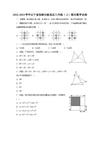 2022-2023学年辽宁省抚顺市新抚区八年级（上）期末数学试卷（含解析）