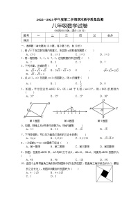 广东省湛江市麻章区2022-2023学年八年级下学期期末教学质量监测数学试卷(含答案)